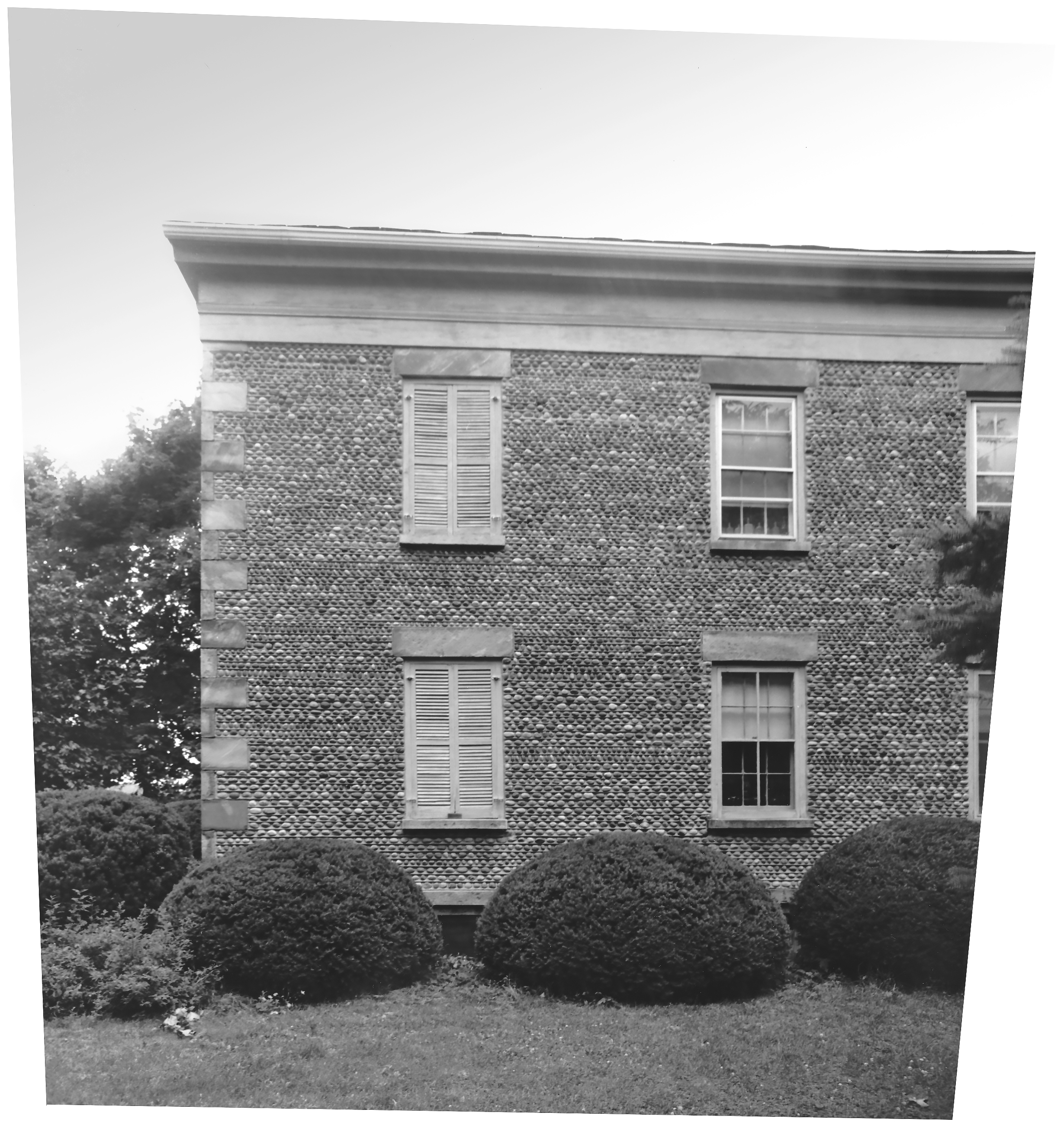 Gai-9 Bacon-Neilans 6